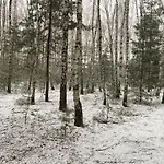 Casa vacanze Na Wrzosowej, Z Bala Premium, Blisko Suntago *