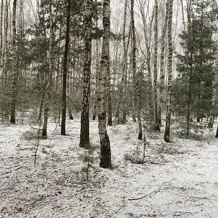 Prázdninový dům Na Wrzosowej, Z Bala Premium, Blisko Suntago *
