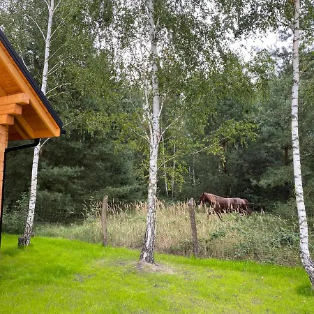 Na Wrzosowej, Z Bala Premium, Blisko Suntago, Gratis Trzecia Doba W Ferie Franciszkow (Zyrardow)