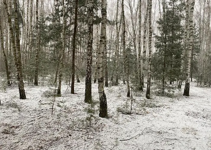 Dom wakacyjny Na Wrzosowej, Z Bala Premium - Trzecia Doba Gratis - Poza świętami I Feriami *