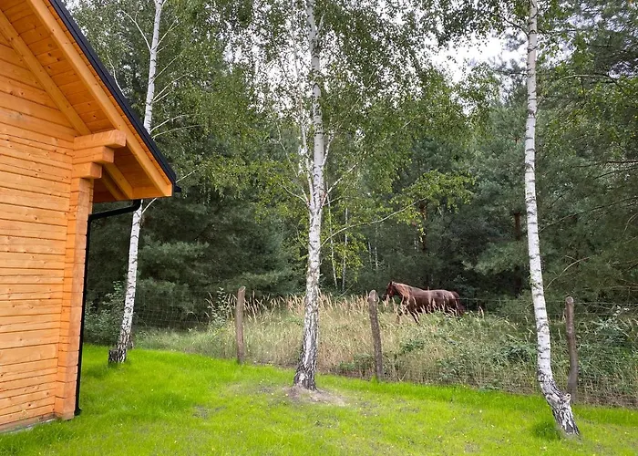 Na Wrzosowej, Z Bala Premium - Trzecia Doba Gratis - Poza świętami I Feriami Franciszkow (Zyrardow)