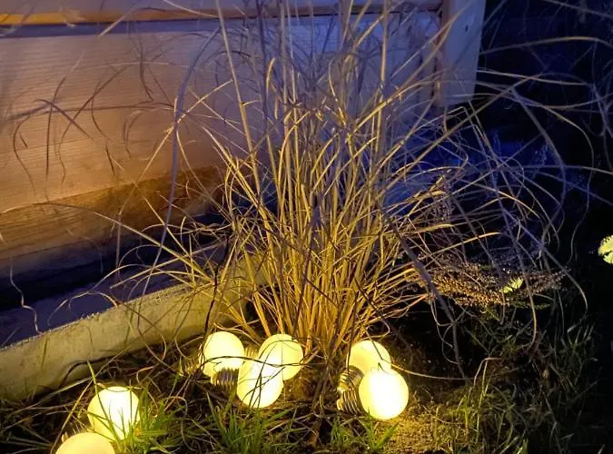 Na Wrzosowej, Z Bala Premium - Trzecia Doba Gratis - Poza świętami I Feriami *